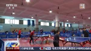 bwin官网登录入口 乒乓球台伊藤